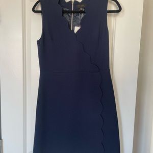 NEW TED BAKER London Navy Blue RUBEYED Scallop Neck A-Line Dress